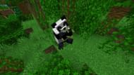 Pandas can be bred with bamboo (Image via Mojang)